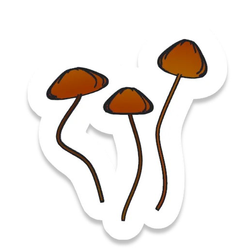 Cluster of three brown mushrooms sticker